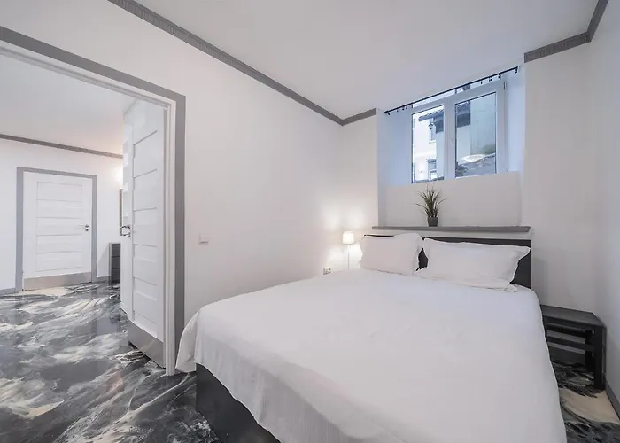 Klaipedos - Lollo Vilnius